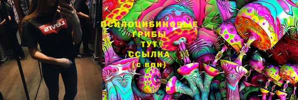 apvp Нефтегорск