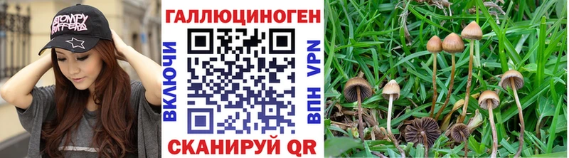 Галлюциногенные грибы Cubensis  Печора 