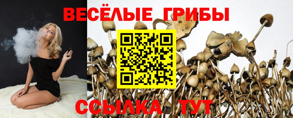 Псилоцибиновые грибы GOLDEN TEACHER Печора
