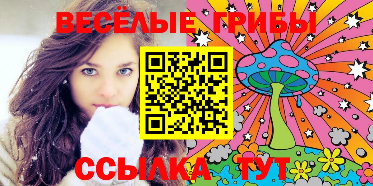 Псилоцибиновые грибы Psilocybe  Вход с VPN  Печора 